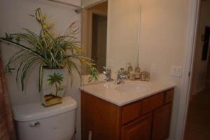 Windsor Hills By Funquest Vacation Hotel 3*