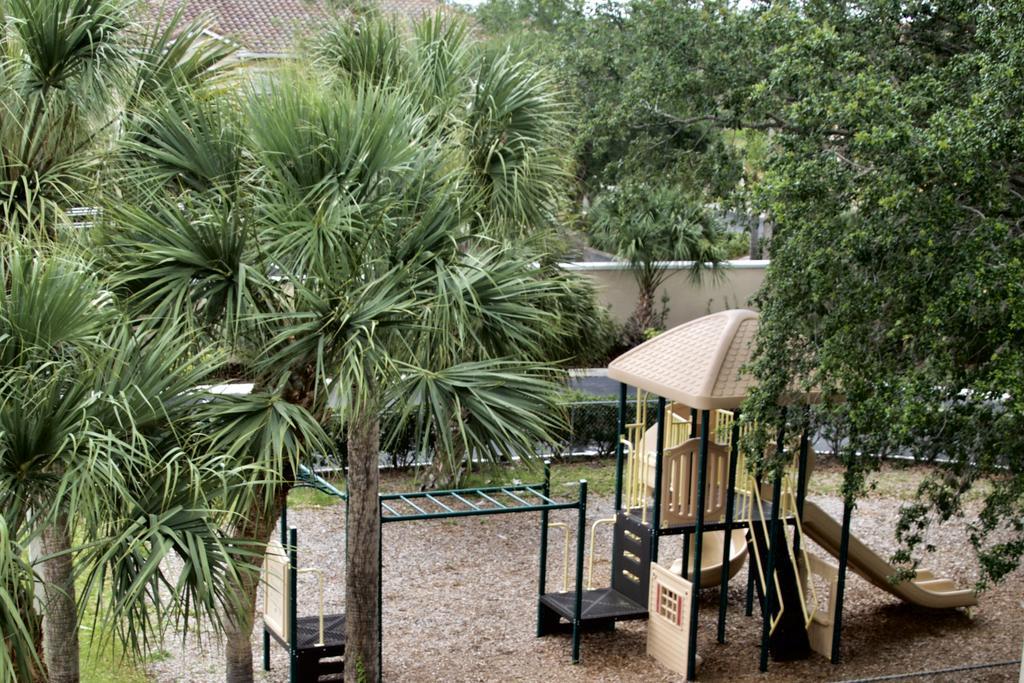 Magic Tree Hotel