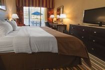 Hotel Holiday Inn Main Gate East 3*
