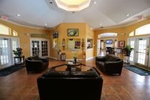 Orlando Supreme 3*