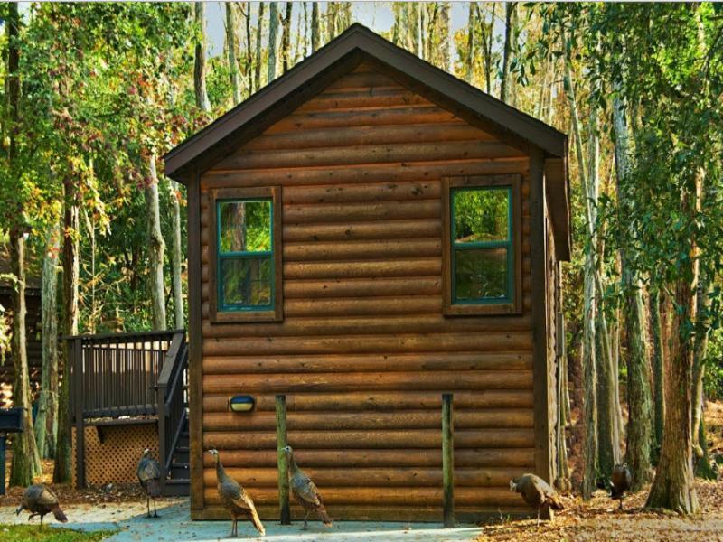 Resort The Cabins At Disneys Fort Wilderness Resort 4*