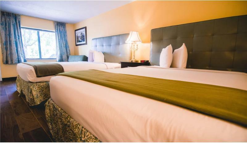 Hotel Shining Light &