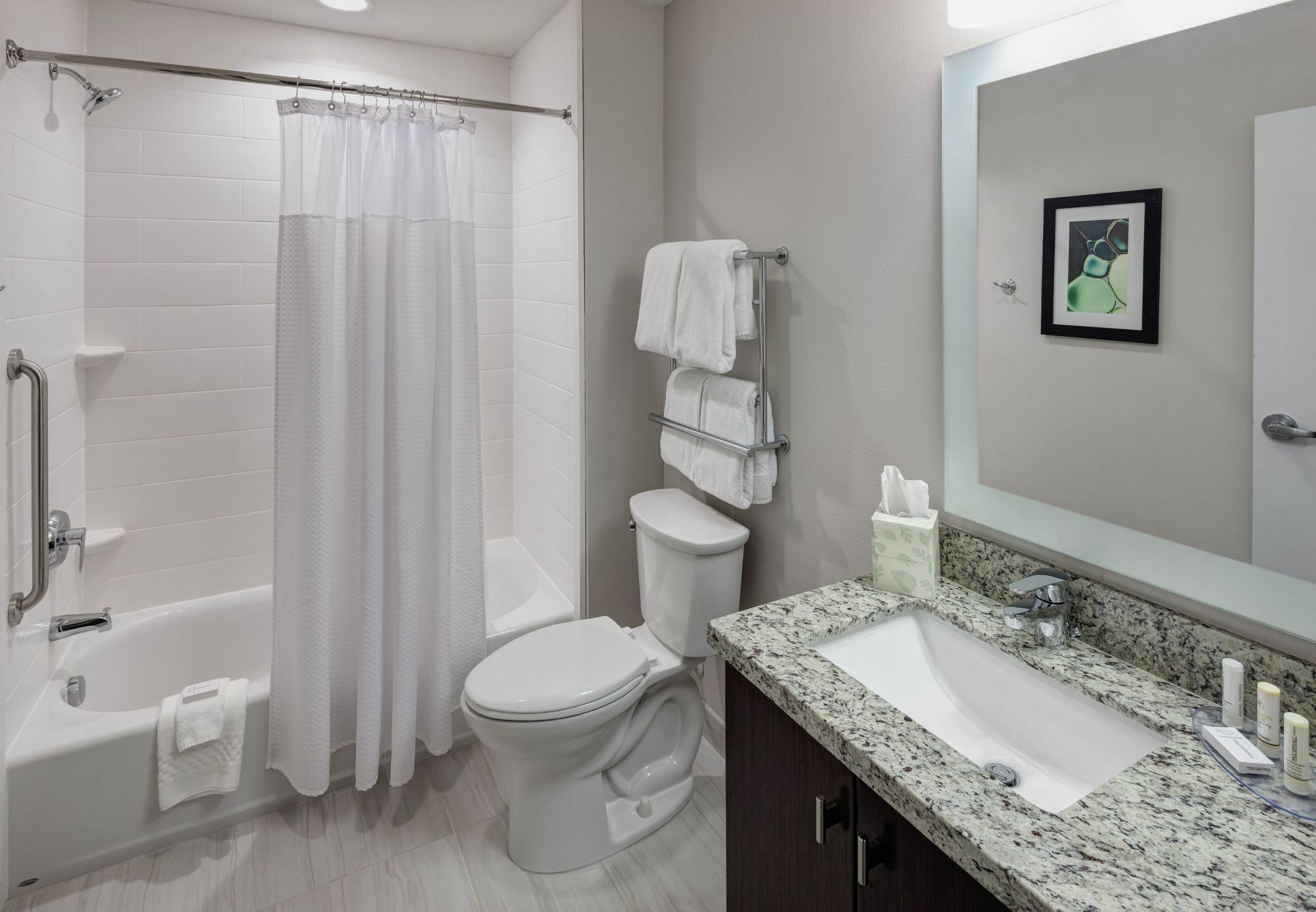 Towneplace By Marriott Orlando At Seaworld Williamsburg