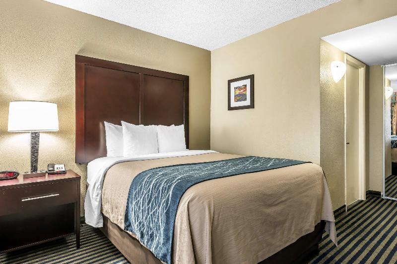 Crowne Plaza Orlando - By Ihg Lake Buena Vista